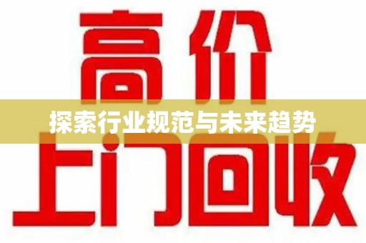 新乡探索行业规范与未来趋势