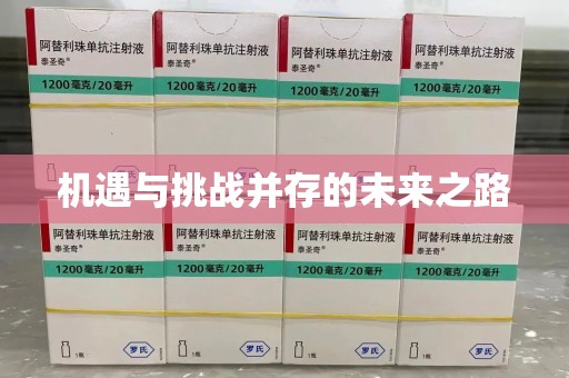 新乡机遇与挑战并存的未来之路
