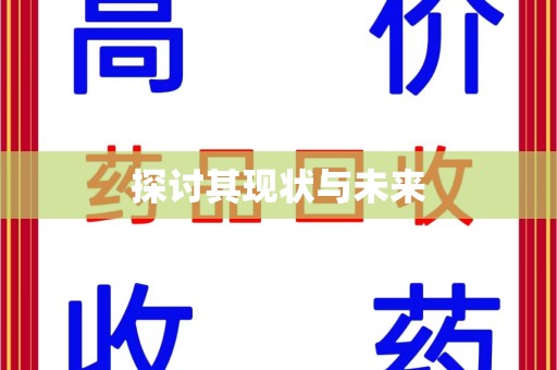 新乡探讨其现状与未来