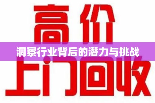 新乡洞察行业背后的潜力与挑战