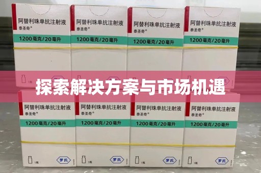 新乡探索解决方案与市场机遇